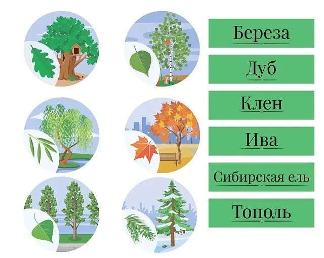 Настенная развивающая композиция "Лабиринт Окружающий мир"
