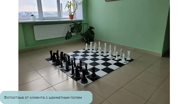 Доска для шахмат Жу-Жу пластиковая 1600 х 1600 мм