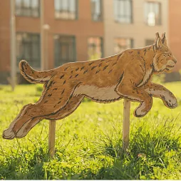 Уличный стенд "Рысь"