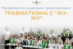 Профилактика дорожно-транспортного травматизма с "ЖУ-ЖУ"