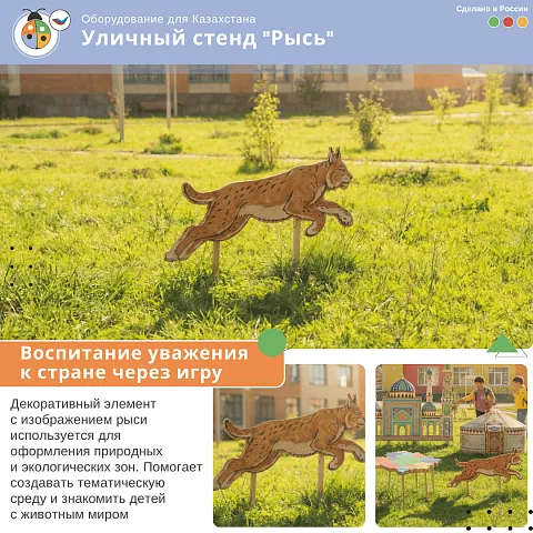 Уличный стенд "Рысь"