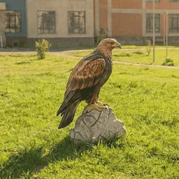 Объёмная форма "Орёл"