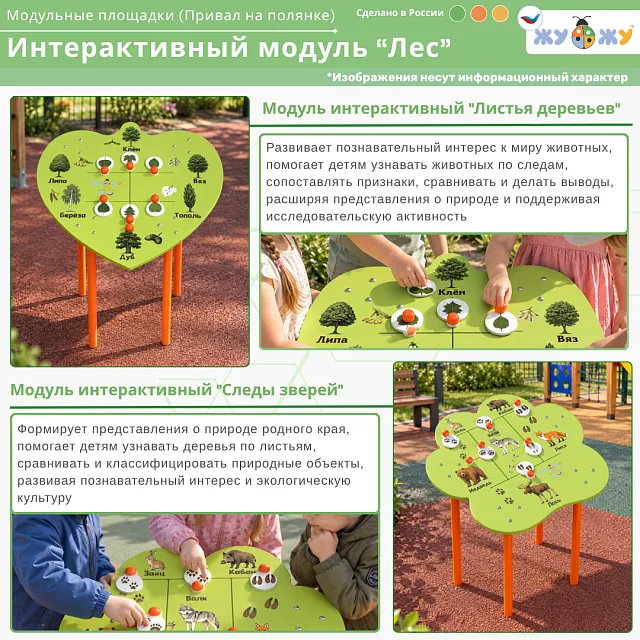 Интерактивный модуль "Лес"