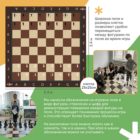 Доска для шахмат ЖУ-ЖУ плотная виниловая обучающая 2,4х2,4 м